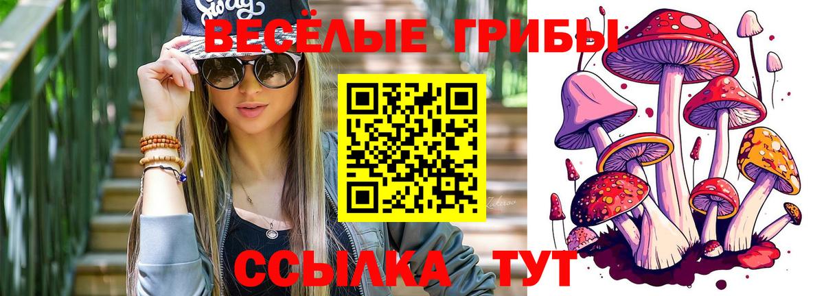наркотики  Галлюциногенные грибы мухоморы  Вход с VPN  Саратов 